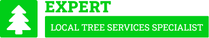 Wellington Tree Services - Tree Removal Wellington